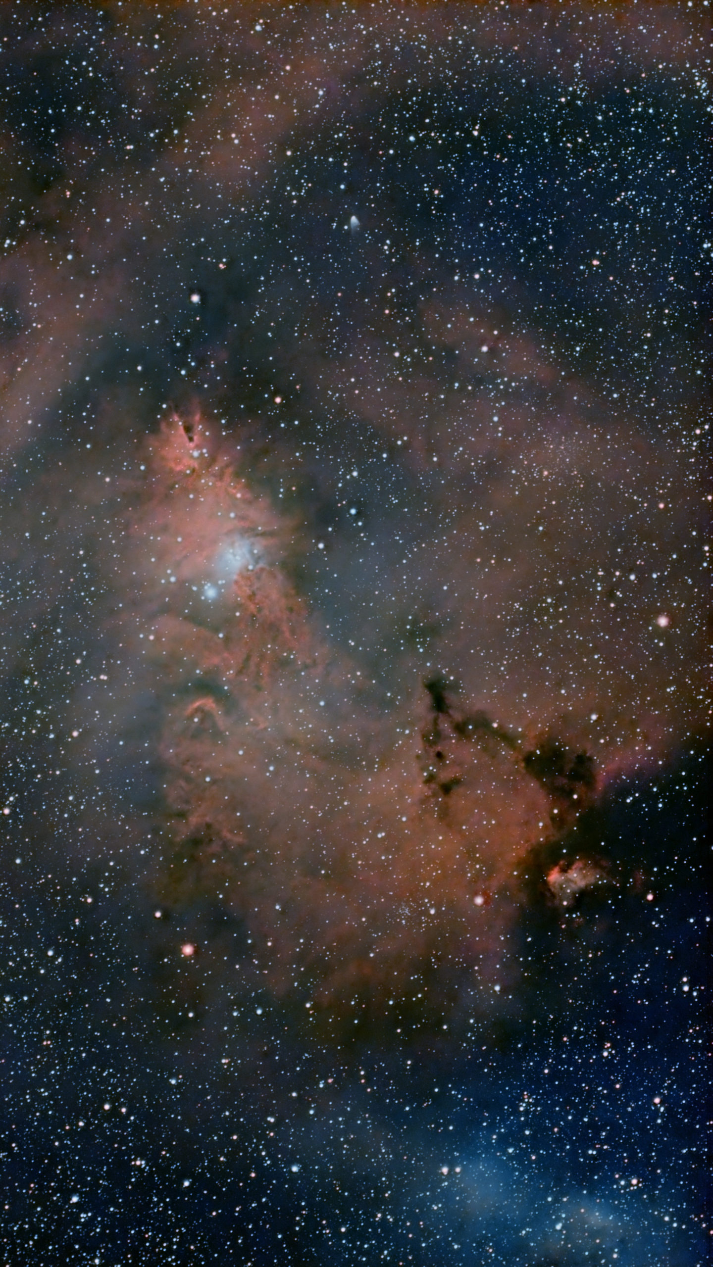 コーン星雲、クリスマスツリー星雲 NGC 2264 the Christmas Tree Cluster and the Cone Nebula コーン星雲、クリスマスツリー星雲 NGC 2264 the Christmas Tree Cluster and the Cone Nebula