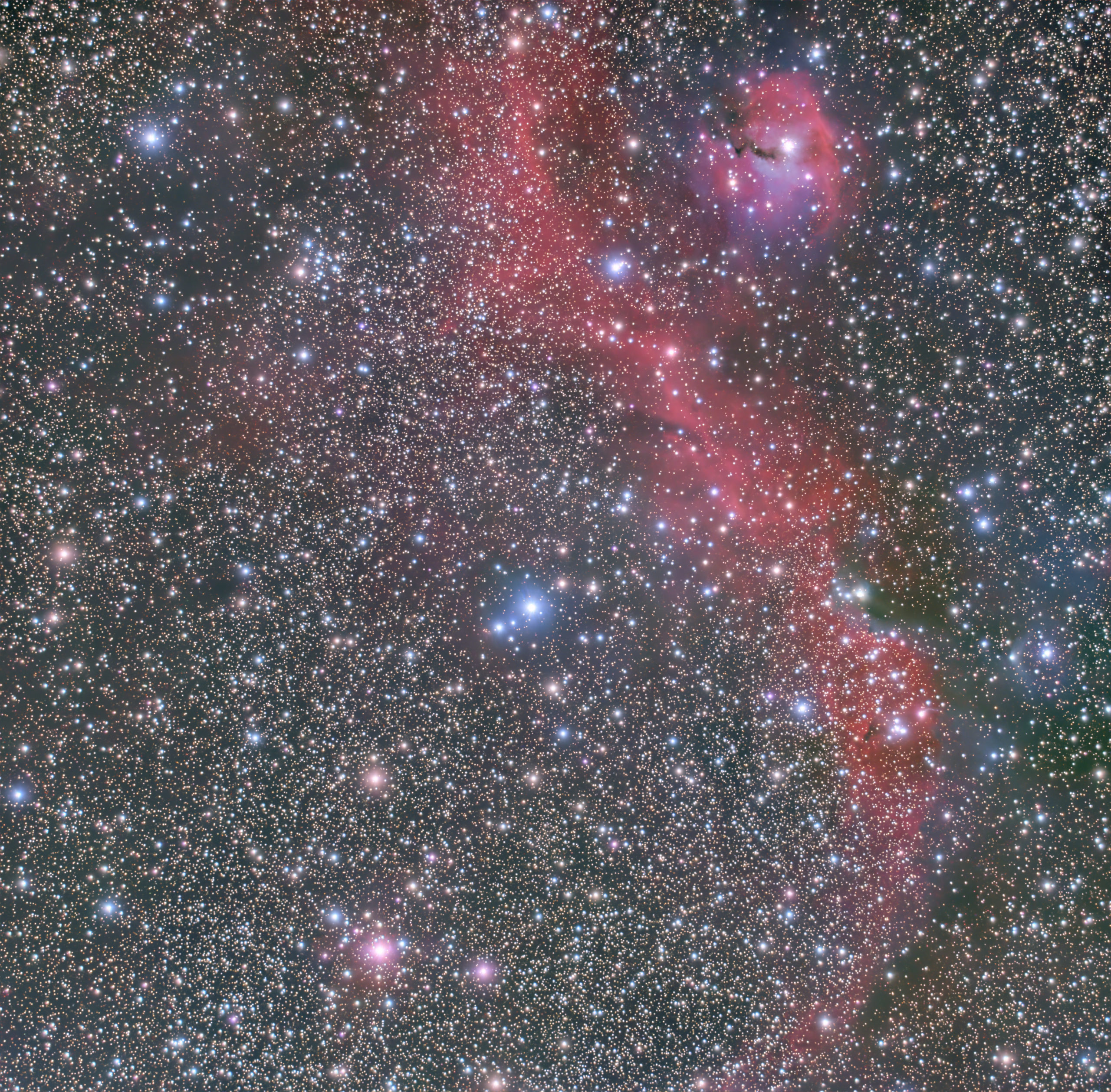 FC-50+レデューサーでカモメ星雲