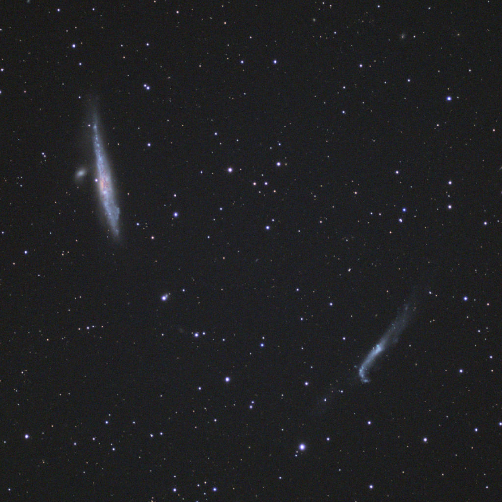 クジラ銀河(NGC4631)&ホッケースティック銀河(NGC4656) の天体写真