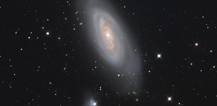 M90銀河(おとめ座銀河団) の天体写真（M90 Galaxy (トリミング)）
